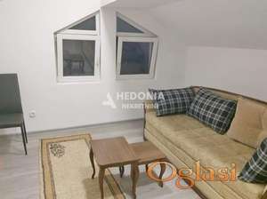 Zemun, izdavanje, 2.0, renoviran, namešten ID#10145