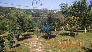 Plac u Sremskoj Kamenici - 6590m2 -