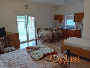 Torlački vis Kumodraž ID#43812