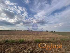 Poljoprivredno zemljište, Begeč