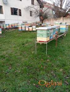 Prodajem pčelinja društva