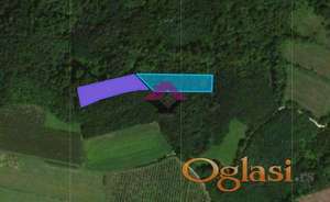 Aranđelovac, Progoreoci, šumsko zemljište 48,57 ari ID#1516