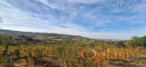 ВЕЛИКИ ПЛАЦ (83 ара), асфалтни прилаз, савршена локација. ПАНОРАМСКИ ПОГЛЕД на виноградарски пејзаж Матеја, Сремске Карловце и Нови Сад.