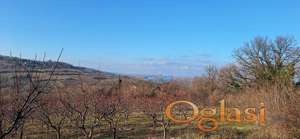 ВЕЛИКИ ПЛАЦ (83 ара), асфалтни прилаз, савршена локација. ПАНОРАМСКИ ПОГЛЕД на виноградарски пејзаж Матеја, Сремске Карловце и Нови Сад.