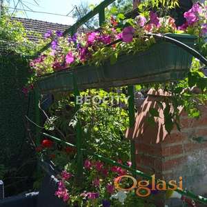 Novi Sad, Petrovaradin, , 3.0, 70m2