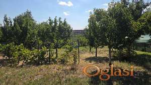 Odlican plac u Maradiku!