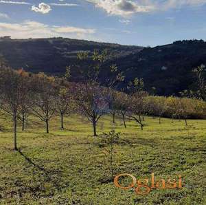 Ledinci plac 1474m2.