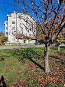 Odlican trosoban stan na Novom naselju