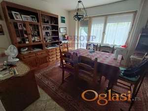 Kuća u Kamenici 248m2