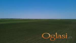 Prodajemo poljoprivredno zemljište u KO Bačko Gradište