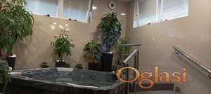 Odlican lokal u Temerinu