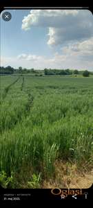 NA PRODAJU POLJOPRIVREDNO ZEMLJIŠTE U RUMI POVRSINE 1,47 JUTARA