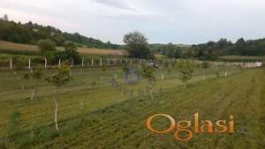 518481-Plac-9711m2-Čortanovci