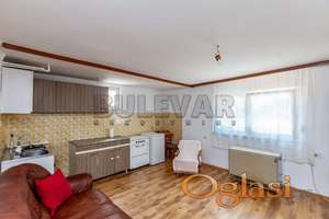 Jednoiposoban  stan  u  kući, prizemlje, deo dvorišta, 40 m2, Apelovac