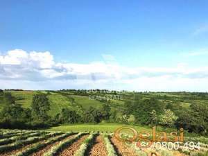 Plac na Kosmaju-Mladenovac-Velika Ivanča ID#3721