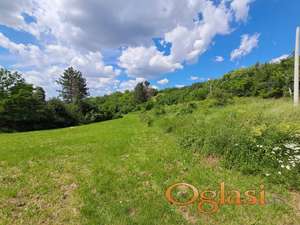 Plac u vikend zoni sa zasadima lešnika