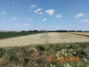 Krnješevci, Stara Pazova ID#7769