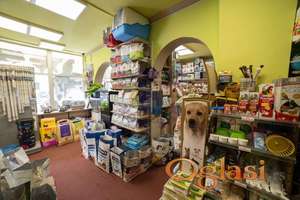 Odličan lokal na Grbavici - višenamenski!