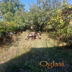 Sremska Kamenica - Popovica, vikendica sa puno zelenila na 20m od asfaltnog puta