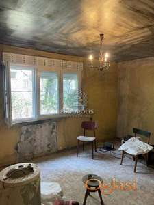 Patrisa Lumumbe, Karaburma, Palilula ID#9275