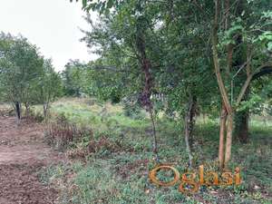 Plac na Alibegovcu,734m2