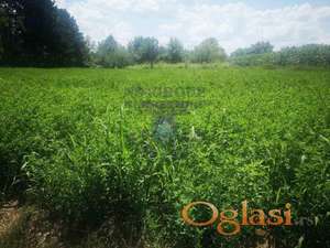 ~Odlican plac na Petrovaradinu~