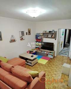 Čukarička padina, 2.0, funkcionalan, svetao ID#10427