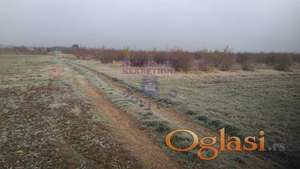 Odličan plac u Irigu