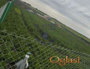 Prestavljamo Vam plac u Čeneju -719m2