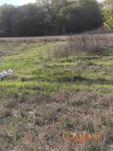 Plac, Merošina