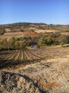 Poljoprivredno zemljište u Sremskim Karlovcima. Površine 2972m2, njiva 5.klase.