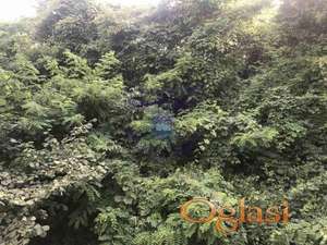 Prodaje se plac Ledinci