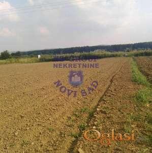 Poljoprivredno zemljiste u Futogu