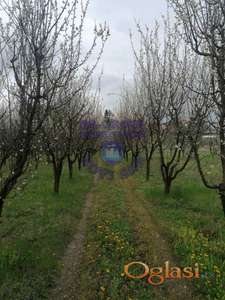 Plac od 10 ari, Vrdnik