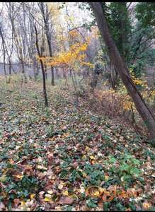 Plac Fruška gora, 29 ari