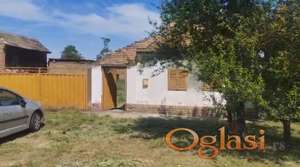 Plac u Bavanistu, 42 ara