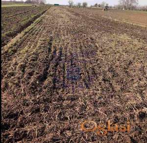 Odličan plac na izlazu iz Rumenke od ukupno 1109m2, sa frontom od 10m.