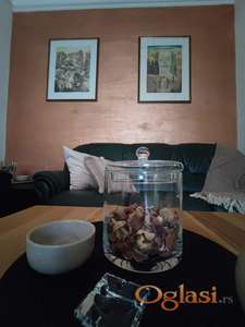 Namešten stan kod Riblje Pijace