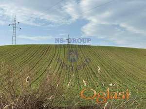 562695-Odlična pozicija placa na Bukovcu.