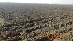 Bečej, Kvalitetno poljoprivredno zemljište od 4 ha 69a 46 m2