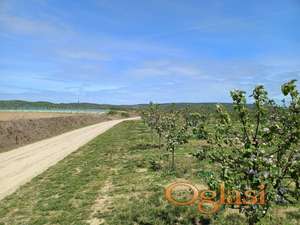 Poljoprivredno zemljište 56 ari, Irig