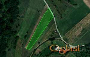 Njiva u selu Donje Vlase