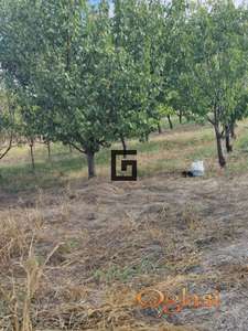 Ostružnica – Plac 70,87 ari ID#2777