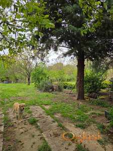 Vikendica Sr.Karlovci Pucavac