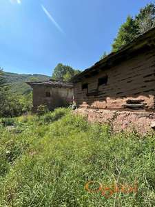 Stara Planina Dojkinci