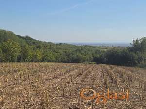 LUX ZONA , DOZVOLJENA GRADNJA, GRAĐEVINSKA ZONA