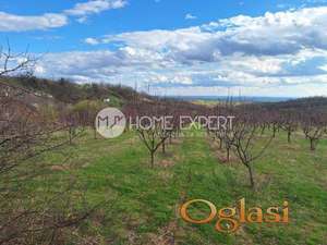 IRIG - RIVICA - 11984.00 m2