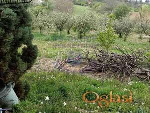 Odličan plac! Sremska Kamenica - Kameničke livade!