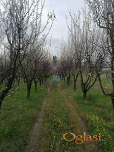 Plac - Vrdnik - 1003m2!