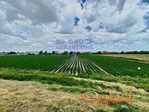 Odlican gradjevinski plac u Futogu